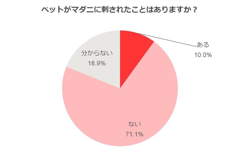 犬猫のマダニ被害、１割が経験あり