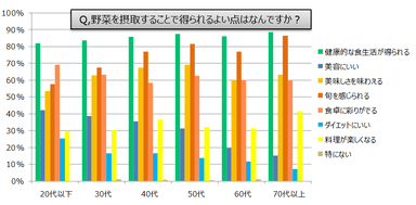 野菜を摂ることで得られるよい点