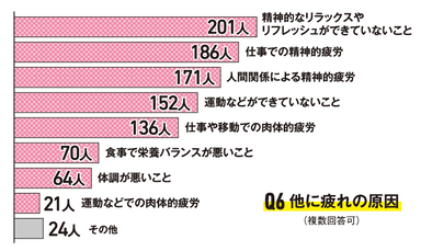 Q6.他に疲れの原因(複数回答可)