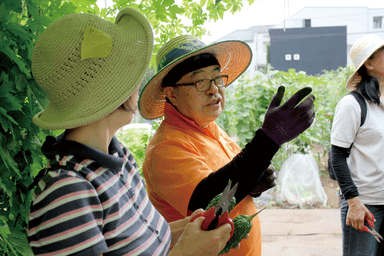 経験豊富な菜園アドバイザー