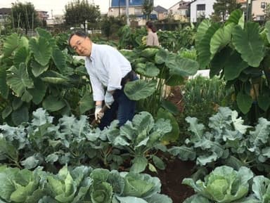 週に1日会社員、週に3日は農業というライフスタイル 1