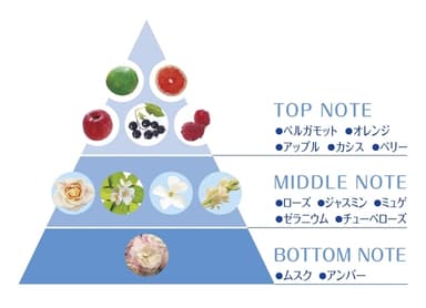 《ホワイトシャボンの香りの10種類以上の香りイメージ》