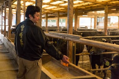 宮崎牛生産農家の中窪さん牛舎にて