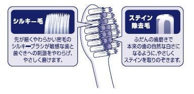 2種類のフィラメントがしっかりとステインを除去