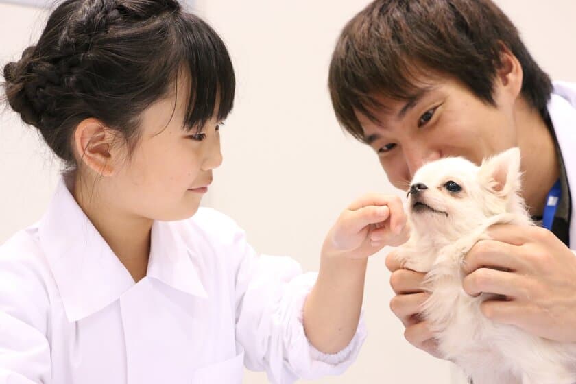 獣医師の仕事について知る！動物とふれあう！動物同伴OKイベント
「2017動物感謝デー in JAPAN“World Veterinary Day”」
9月30日(土)開催