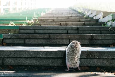 「ボクの針は痛くない」画像１