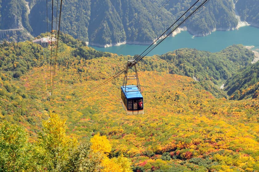 彩り鮮やかに広がる紅葉の絨毯！立山黒部アルペンルート
　ウォーキングイベントや「鉄道の日」記念イベントを開催
　お得な平日割引WEBきっぷも販売中