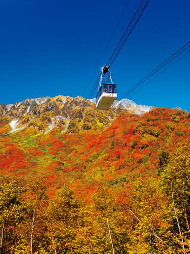 立山ロープウェイで紅葉飛行