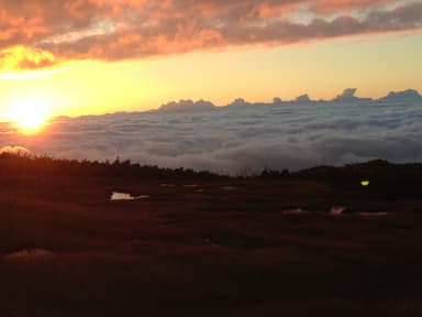 雲海の弥陀ヶ原