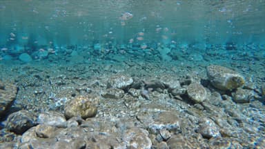 「槍・穂高」上高地・梓川の中の湧き水