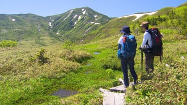 「白山」夏の白山にて