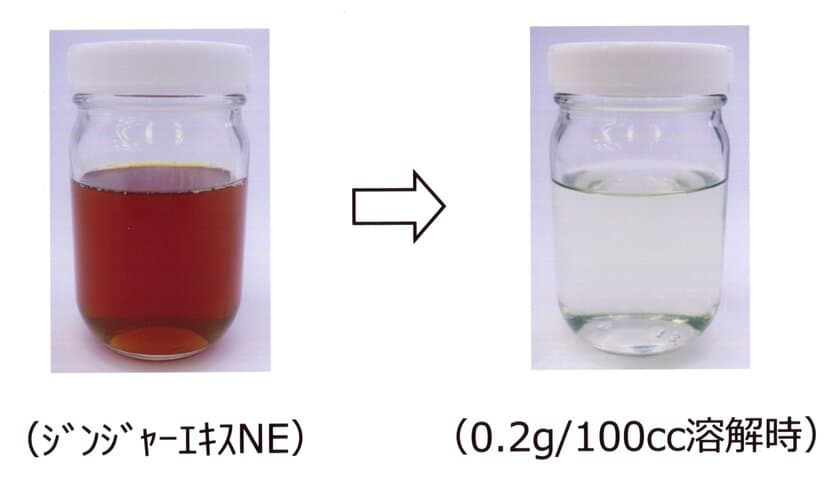 注目の“温活”成分『ショウガオール』を高濃度含有　
「飲料用ジンジャーエキス」を機能性食品素材として発売！