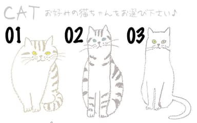 好きな猫が選べます1