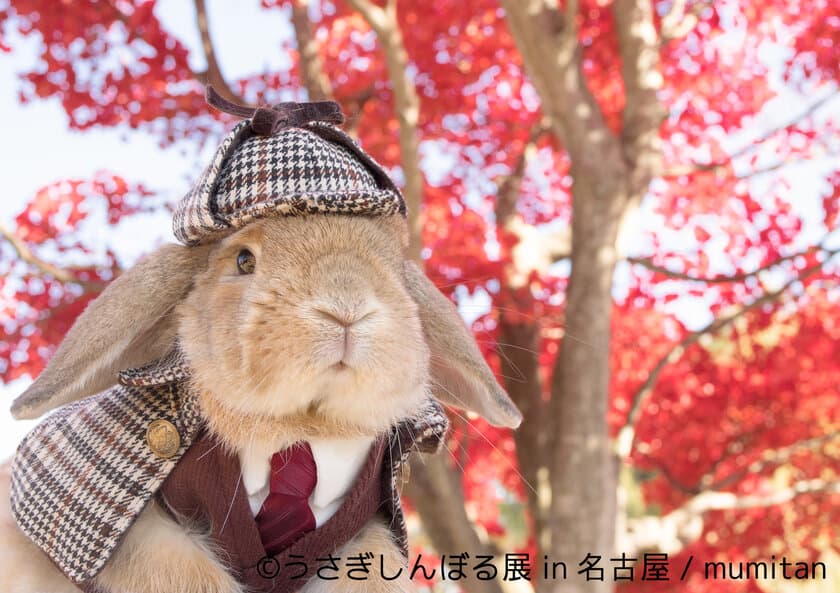 秋の名古屋はモフモフうさぎまみれ！
豪華有名うさぎたちの新作も揃った巡回展を11/3～26開催決定