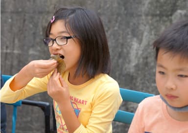 和菓子の試食会の様子