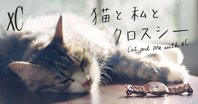 「シチズン クロスシー」がキュートな子猫とともに
時計機能を紹介する動画を公開！