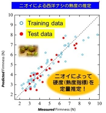 西洋ナシ熟度推定