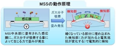 MSSの動作原理