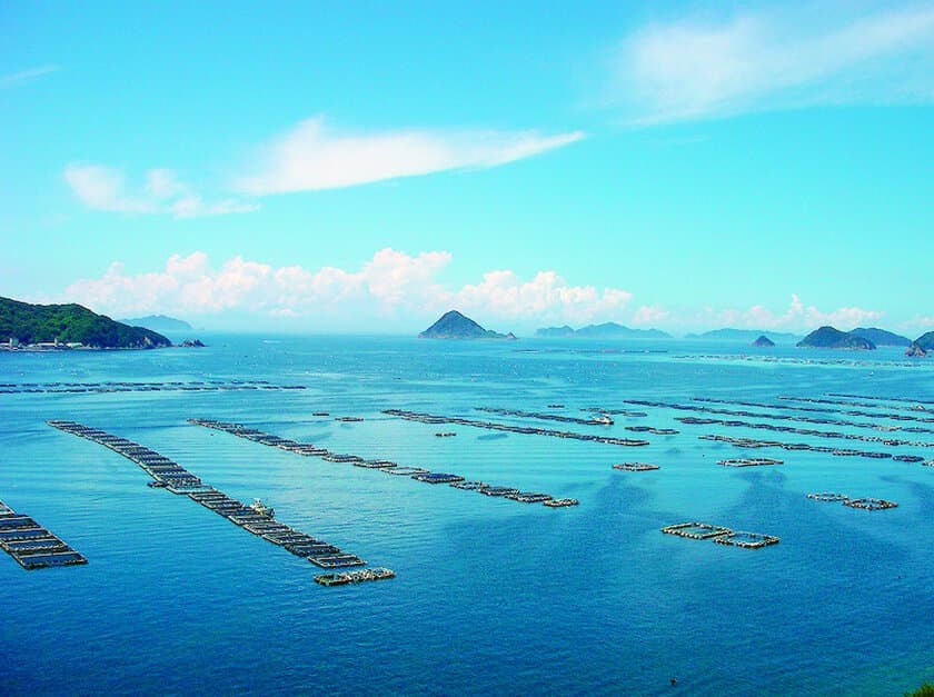 水産王国の魅力を発信！
海の祭典「トトタベローネうわじま～えひめの海は、おいしいぞ～」
　10月14日(土)から2日間、宇和島市内で開催