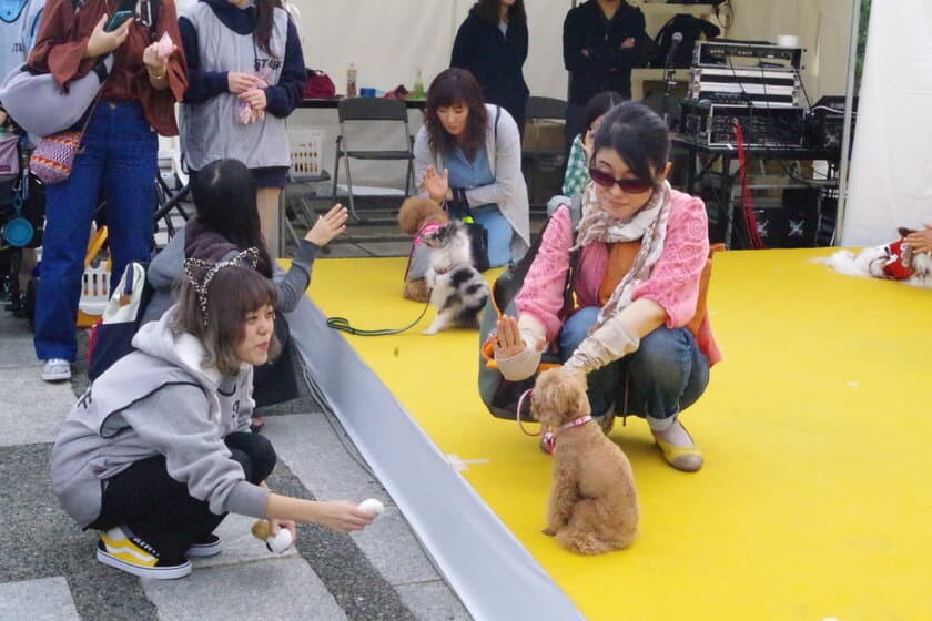 都心最大規模のワンちゃんイベント！
「駒沢公園わんわんカーニバル2017」
東京都世田谷区「駒沢オリンピック公園　中央広場」にて
10月14日(土)、15(日)開催！