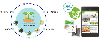 OPTiMスマート農業で栽培された野菜「スマートやさい(R)」