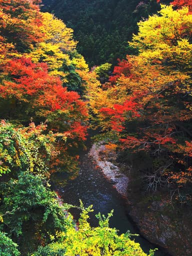 秋川渓谷