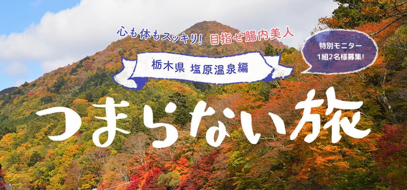 ツマラナイ？いえ、詰まらないんです！
「つまらない旅」無料体験モニター募集開始