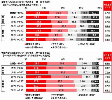 愛犬とのお出かけについての考え