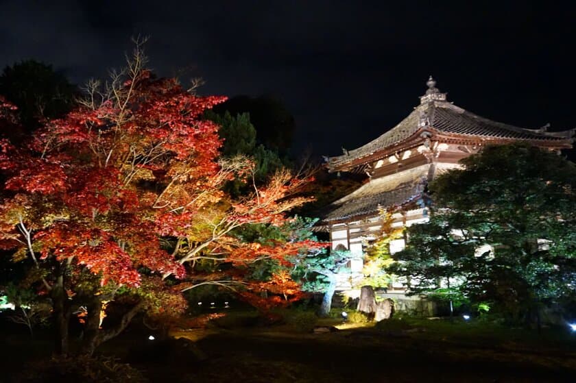 めぐるたび新しい京都
鹿王院夜間特別拝観のお知らせ