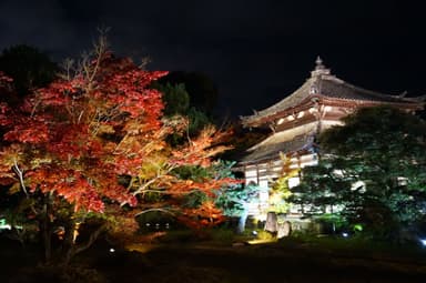 庭園と舎利殿