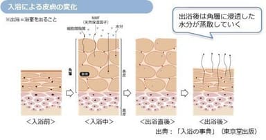 入浴による皮膚の変化