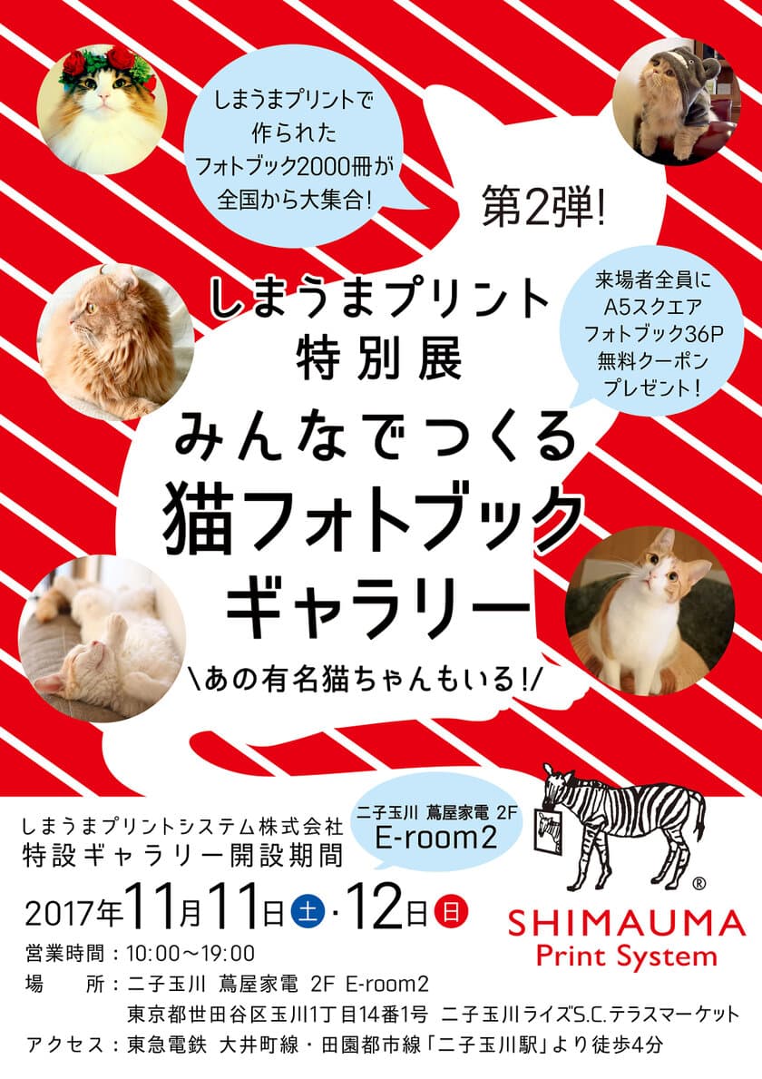 二子玉川 蔦屋家電に全国から
2,000冊以上の猫フォトブックが大集合！
関東初開催、しまうまプリント特別展が11月11日・12日開催