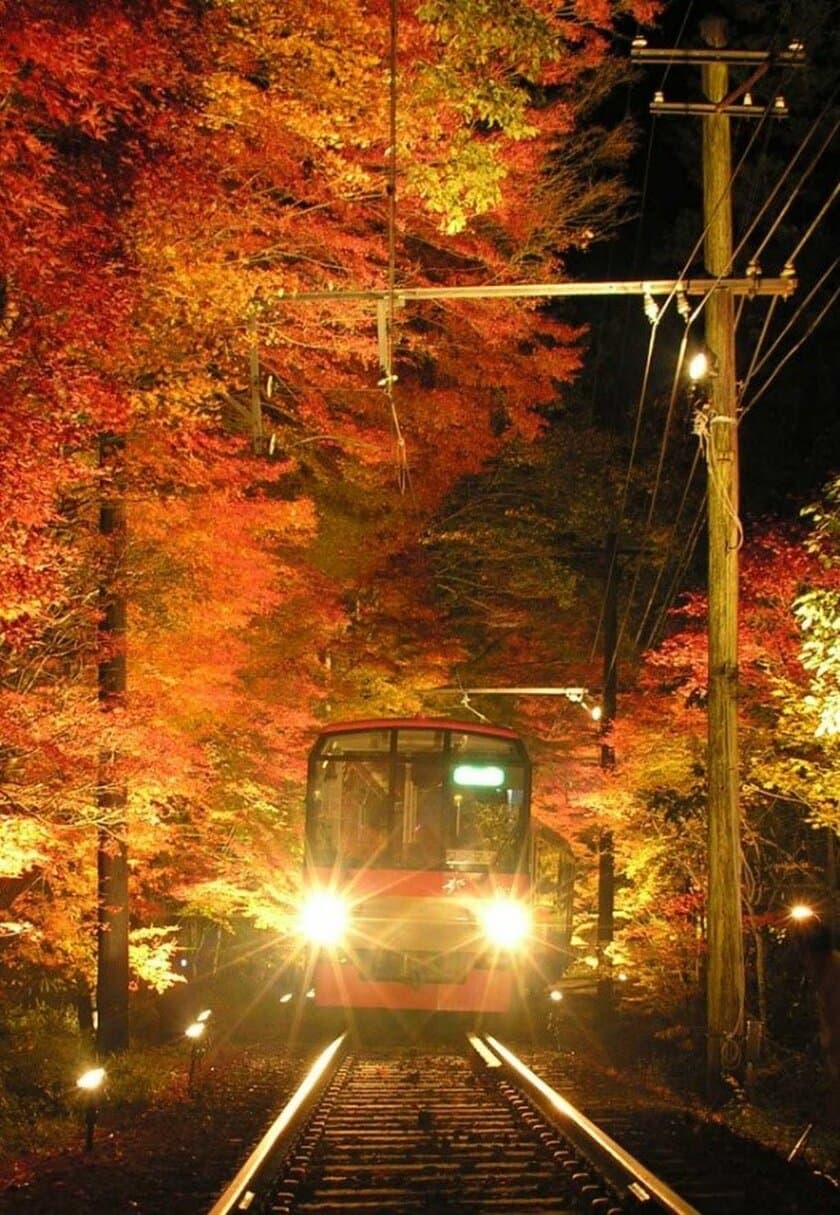 ～ 秋の夜空を彩る紅葉のライトアップ ～
１１月３日（金・祝）～２６日（日）に
第１５回 「京の奥座敷・貴船もみじ灯篭」 
を開催します