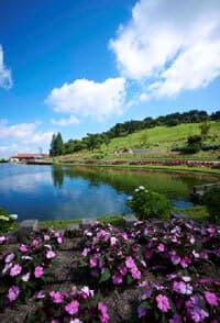 六甲山カンツリーハウス園内