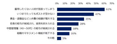 雇用延長にあたり、企業側のデメリットは何だと思いますか。　※複数回答可