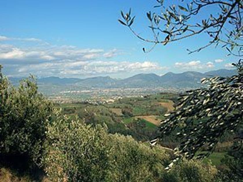 世界一のオーガニック・オリーブオイル、
2017年秋搾りたて(ノヴェッロ)が日本初上陸
「バッチ・ノエミオ エクストラバージンオリーブオイル」
を2018年1月より販売開始