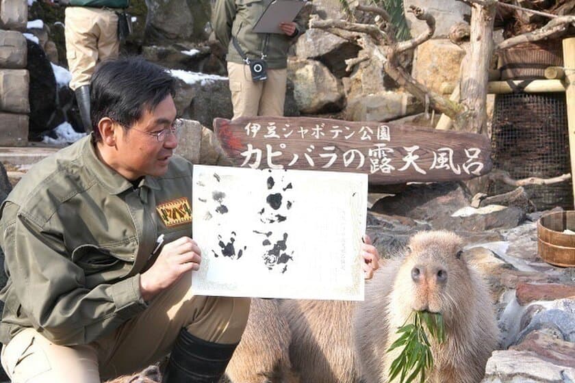 カピバラが肉球で調印！伊豆×長崎×埼玉×那須×石川　
ついに5園国で「カピバラの露天風呂協定」調印式を開催