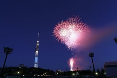 東京スカイツリーと隅田川花火(イメージ)