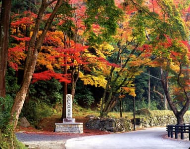 正暦寺