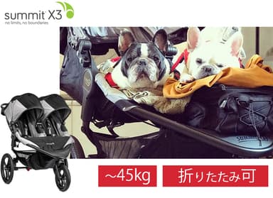 Summit X3 Double  Jogging Stroller