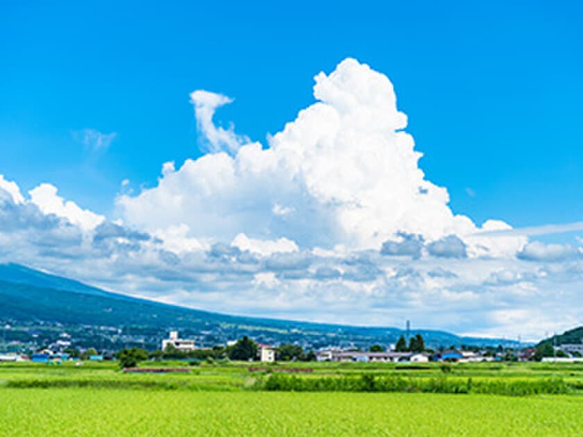 全体の４人に１人が移住意向あり
移住にはゆったりした暮らしを求める傾向
働き先や日常生活の快適さが課題か