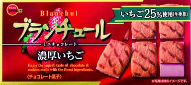 ブランチュールミニチョコレート濃厚いちご