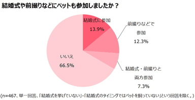 データ1