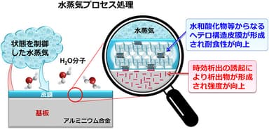 水蒸気プロセス処理の概念図