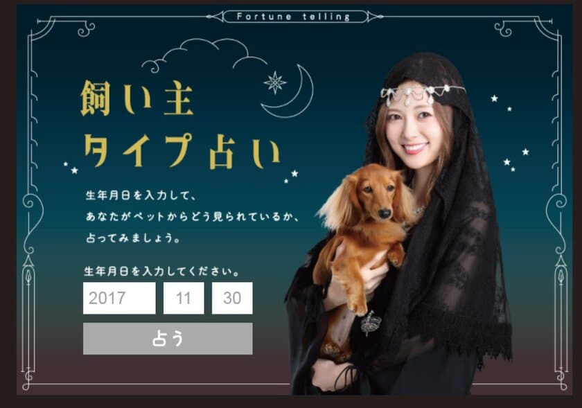 白石麻衣が診断する『飼い主タイプ占い』