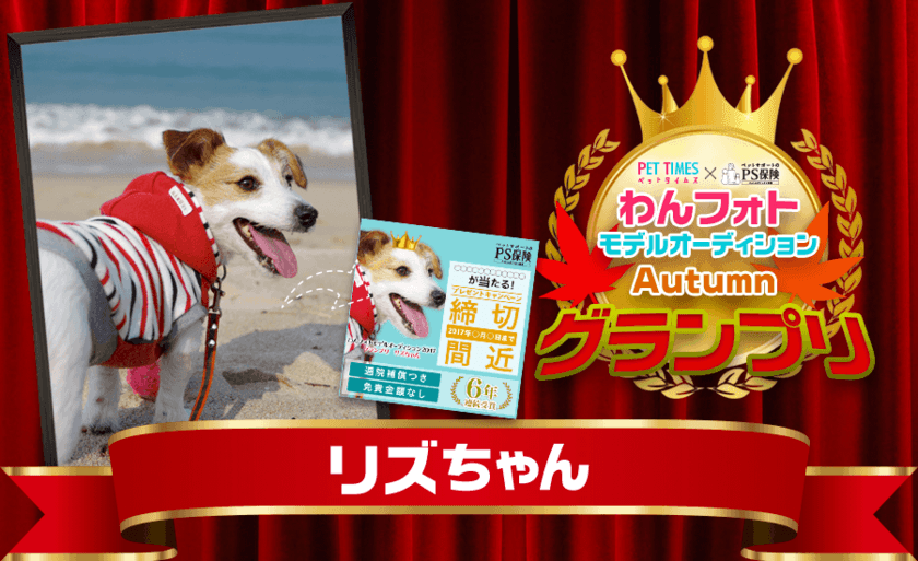 PS保険×PET TIMES
『わんフォトモデルオーディション2017 Autumn』
応募総数2,770通からジャックラッセルテリアがグランプリ受賞！