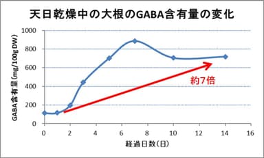 画像2：天日乾燥中の大根のGABA