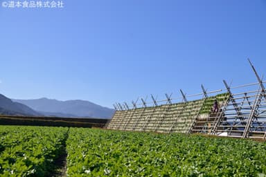 画像5：やぐらの景色