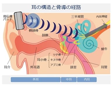 骨伝導構造