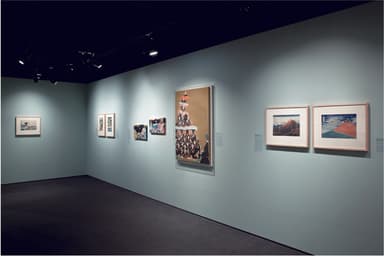 photo by Richard Goodbody   2013 "EDO POP"Japan Society Gallery&#44; NY